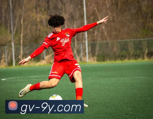 九游官网平台生态图