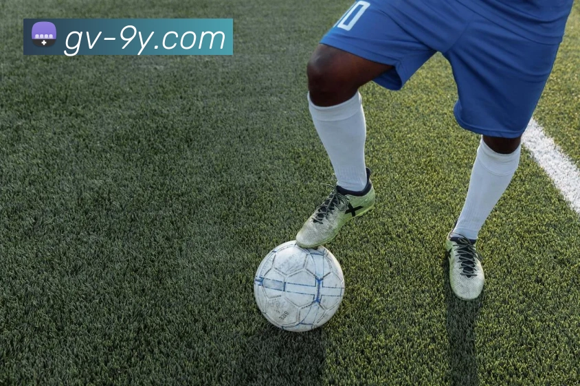 九游官网全站App